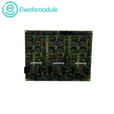 531X304IBDANG1 F31X304IBDAMG1